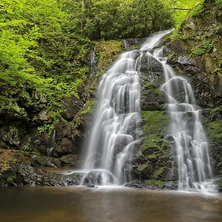 Four Bears Den, Hot Tub, 1089 Of Free Attraction Tickets For Each Paid Day, Dollywood And More Гатлінбург Екстер'єр фото