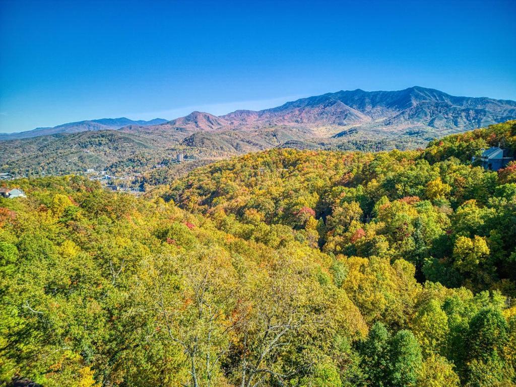 Four Bears Den, Hot Tub, 1089 Of Free Attraction Tickets For Each Paid Day, Dollywood And More Гатлінбург Екстер'єр фото