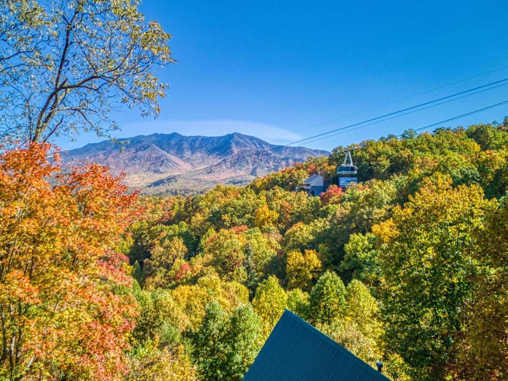 Four Bears Den, Hot Tub, 1089 Of Free Attraction Tickets For Each Paid Day, Dollywood And More Гатлінбург Екстер'єр фото