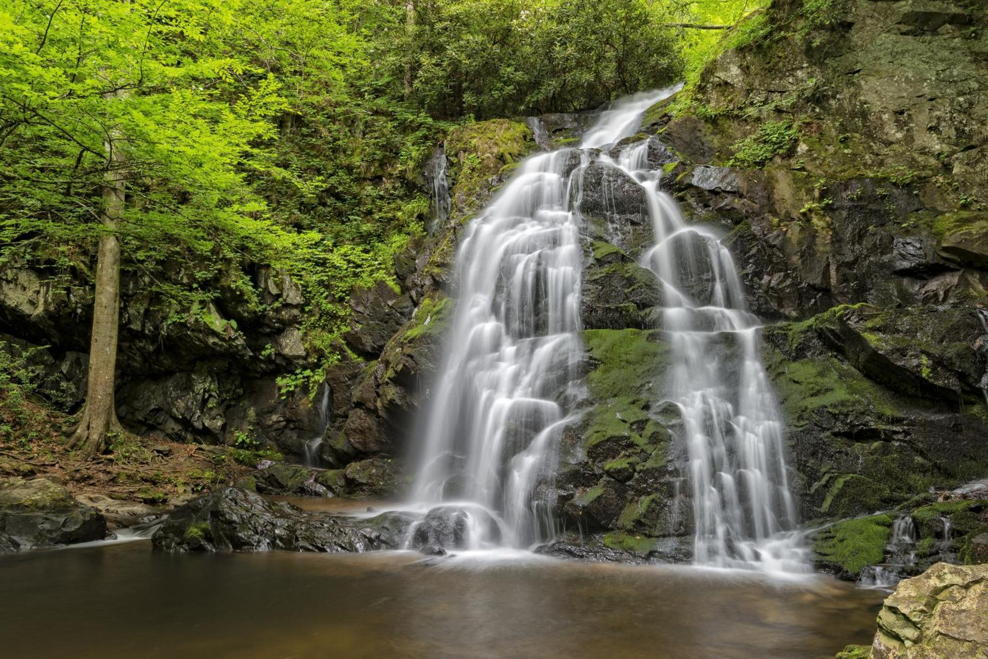 Four Bears Den, Hot Tub, 1089 Of Free Attraction Tickets For Each Paid Day, Dollywood And More Гатлінбург Екстер'єр фото
