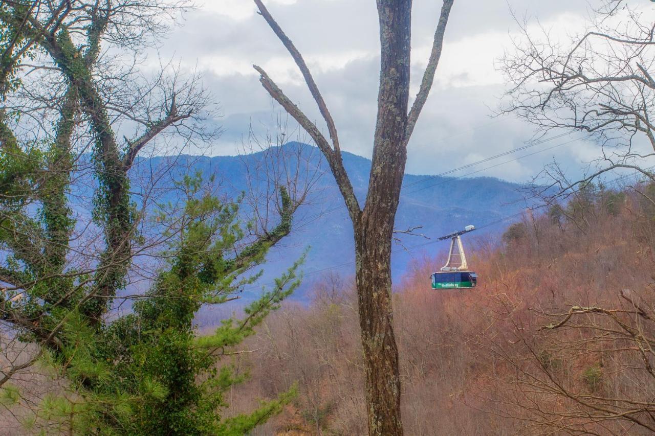 Four Bears Den, Hot Tub, 1089 Of Free Attraction Tickets For Each Paid Day, Dollywood And More Гатлінбург Екстер'єр фото